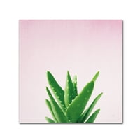 Трговска марка ликовна уметност „Сукулентна едноставност V на розова„ платно уметност од Фелисити Бредли