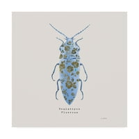 Трговска марка ликовна уметност „украсување на Coleoptera VIII SQ Blue“ Canvas Art By James Wiens