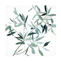 Ема Скарви „Serene Eucalyptus II“ платно уметност