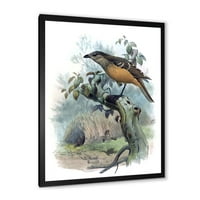 Дизајн на „Птиците на рајот на рајот на дрво“ Традиционално врамено уметничко печатење